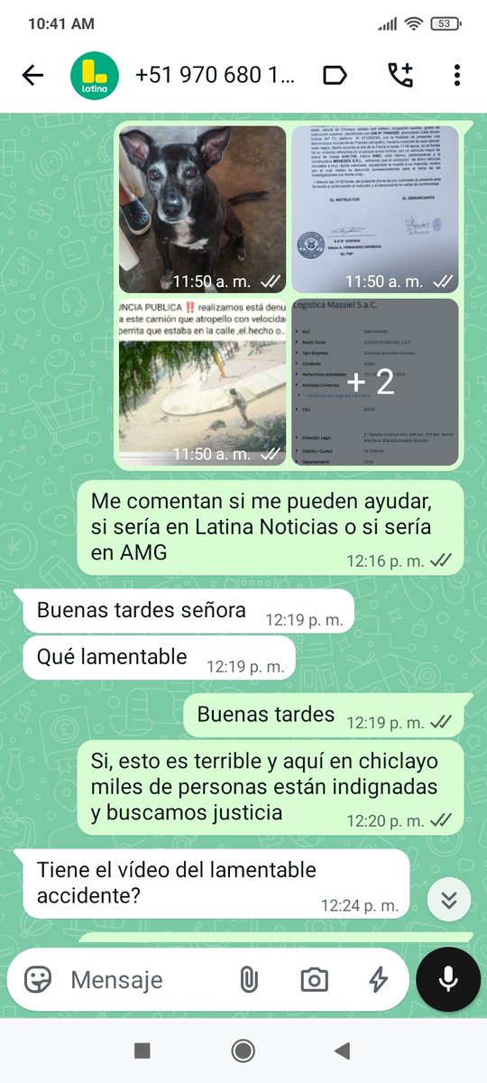 Mike Niken tweet media