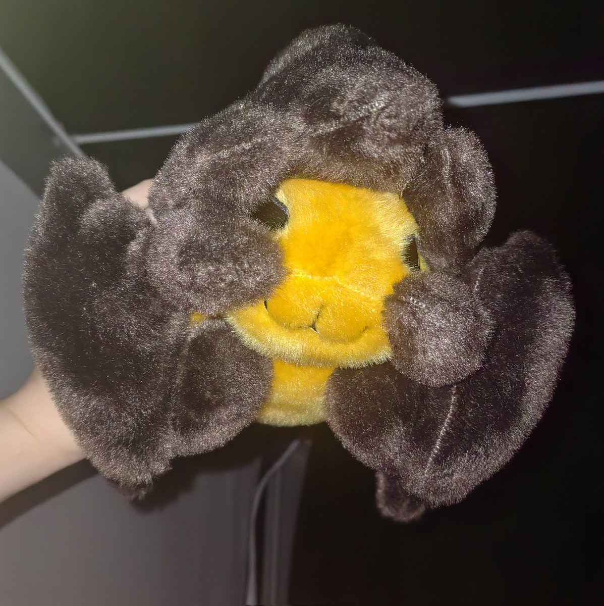 Sweet roll tweet media