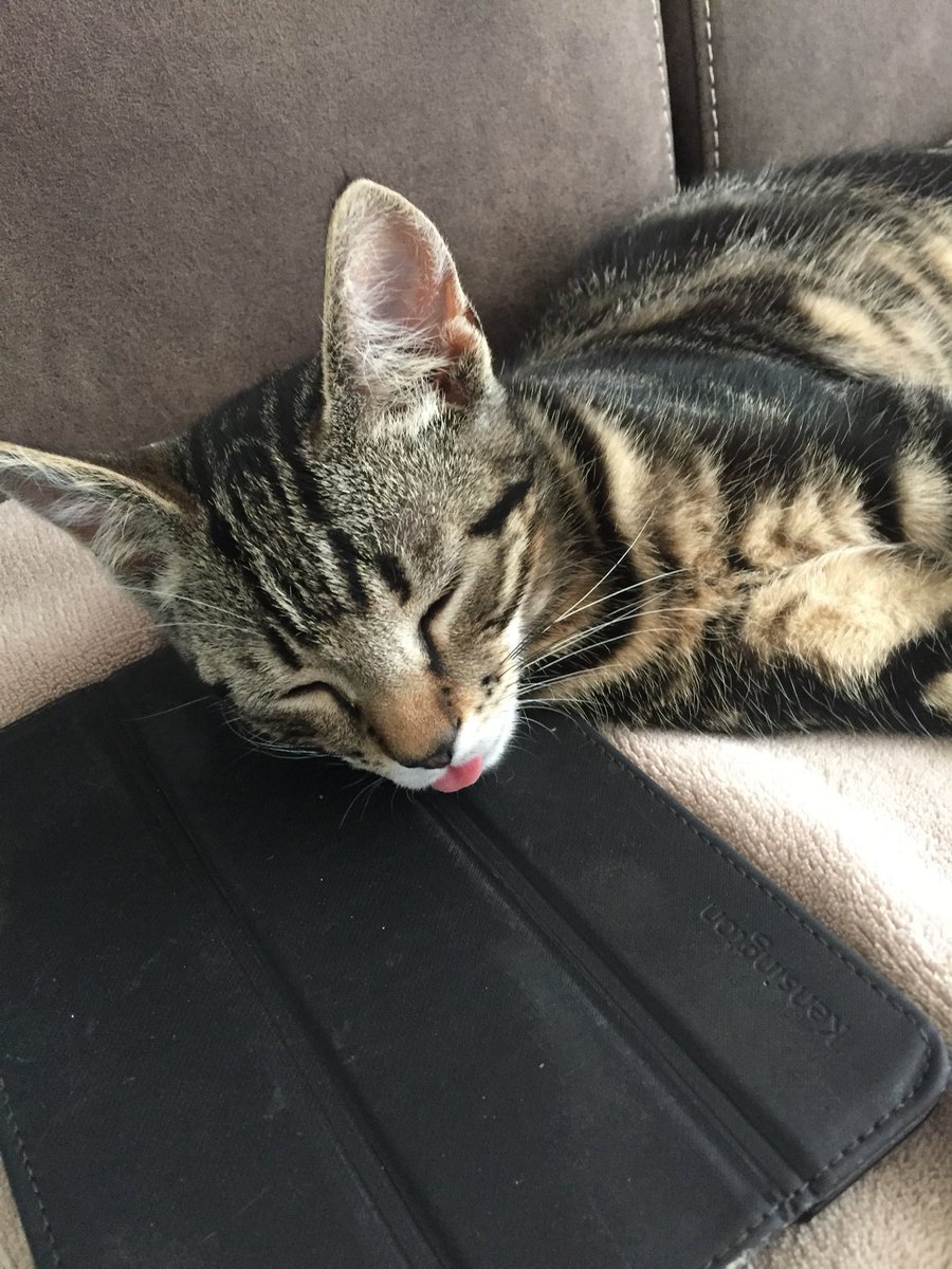 Ⓜ️arcel ☺️ tweet media