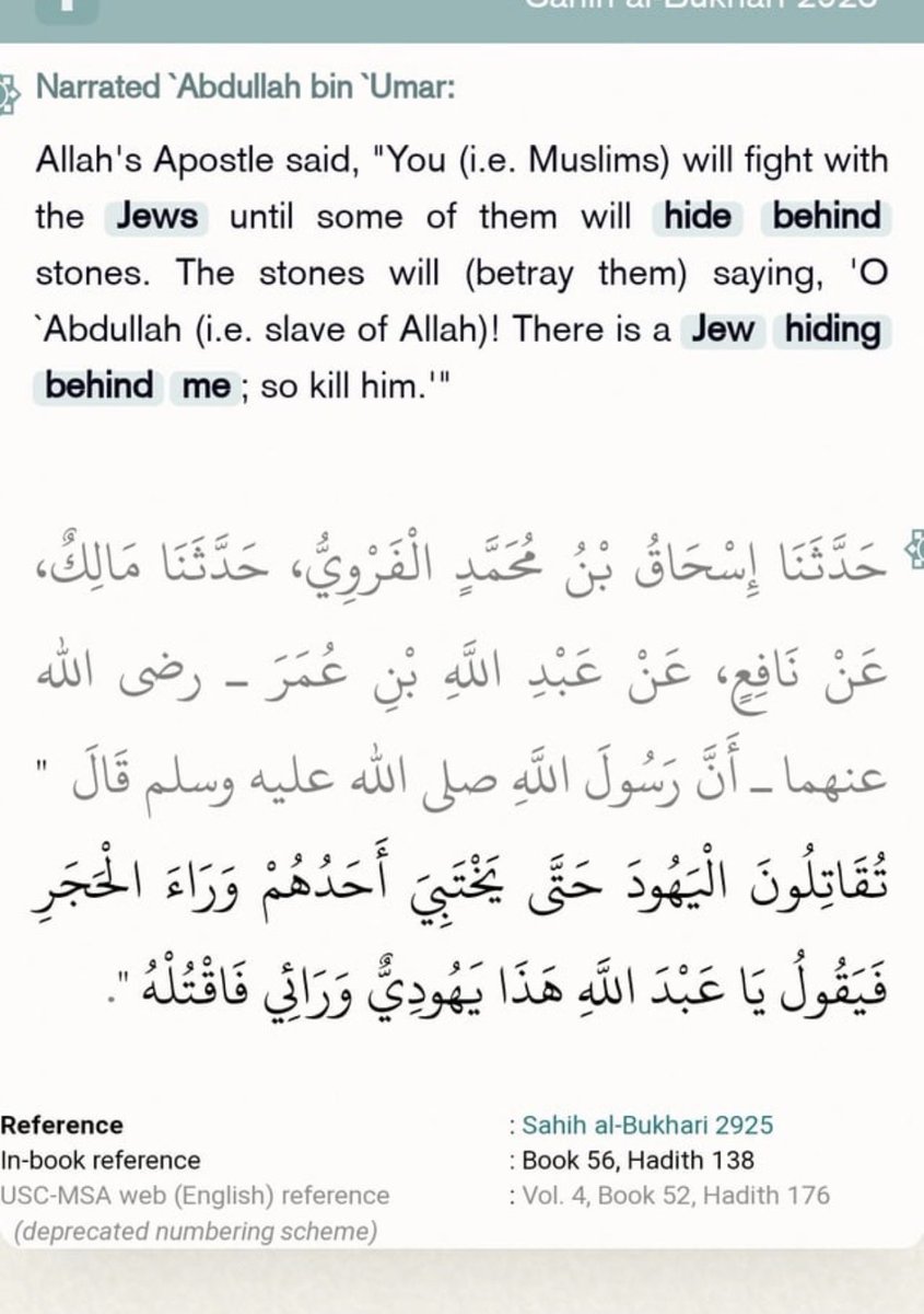 Bread maker 🇺🇸🇮🇱🇺🇦🇬🇪🟦✡️ tweet media