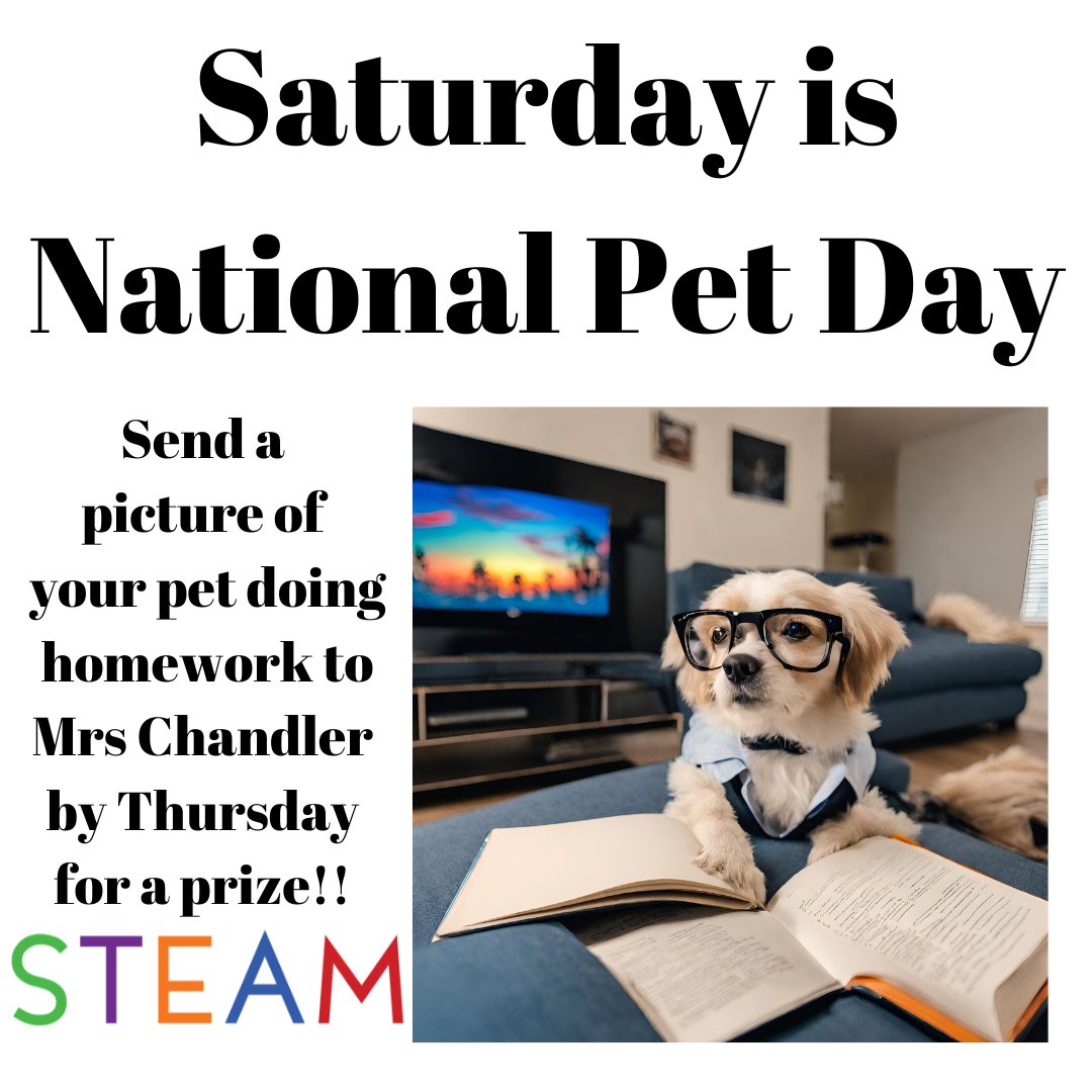 STEAM Middle School tweet media