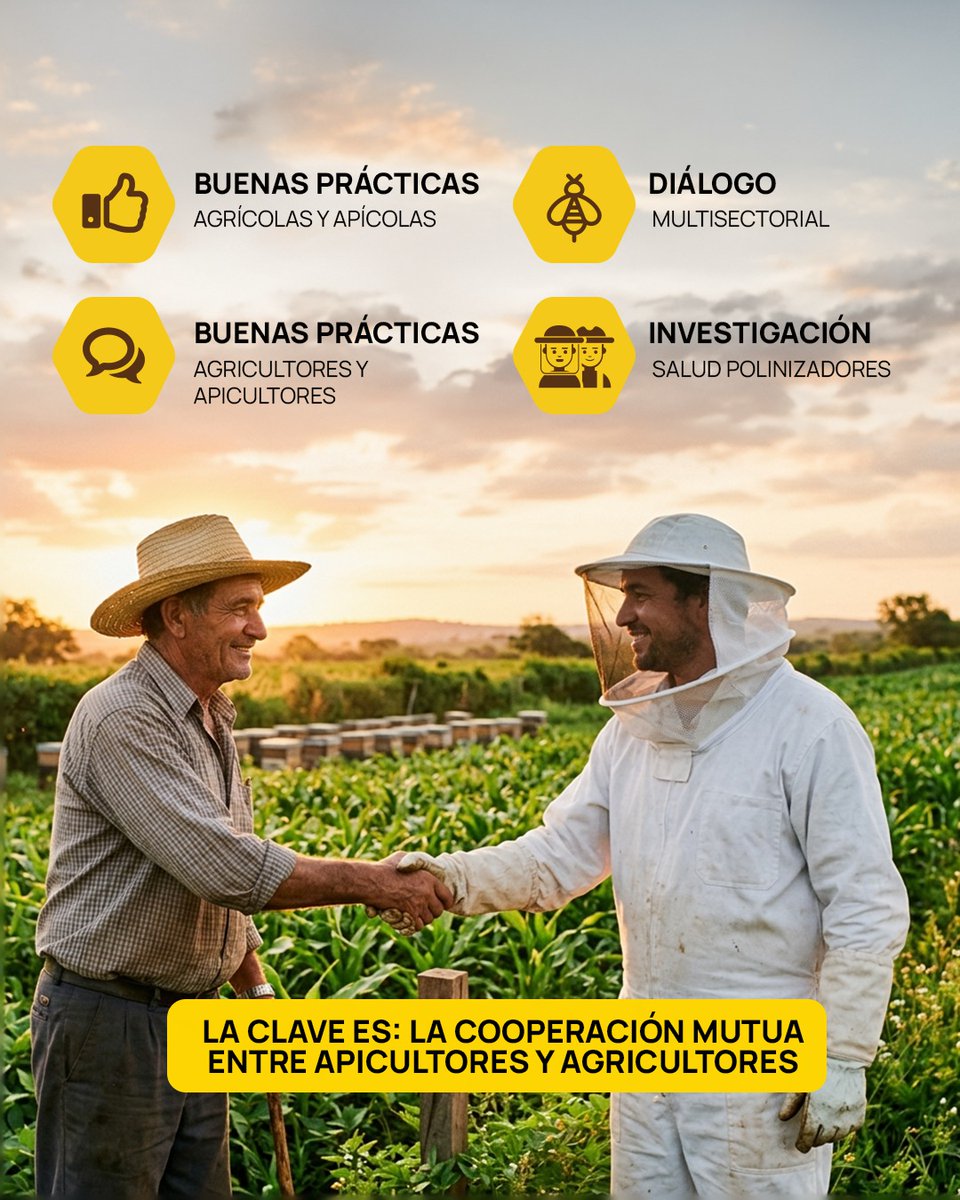 CAFYFpy's tweet photo. La clave está en la cooperación mutua entre apicultores y agricultores 🤝

Sumate al cambio: comunicate con los apicultores de tu zona, revisá tus calendarios de aplicación y seguí las Buenas Prácticas Agrícolas y Apícolas. Juntos podemos cuidar a las abejas 🐝 https://t.co/i2z4DsjRSy
