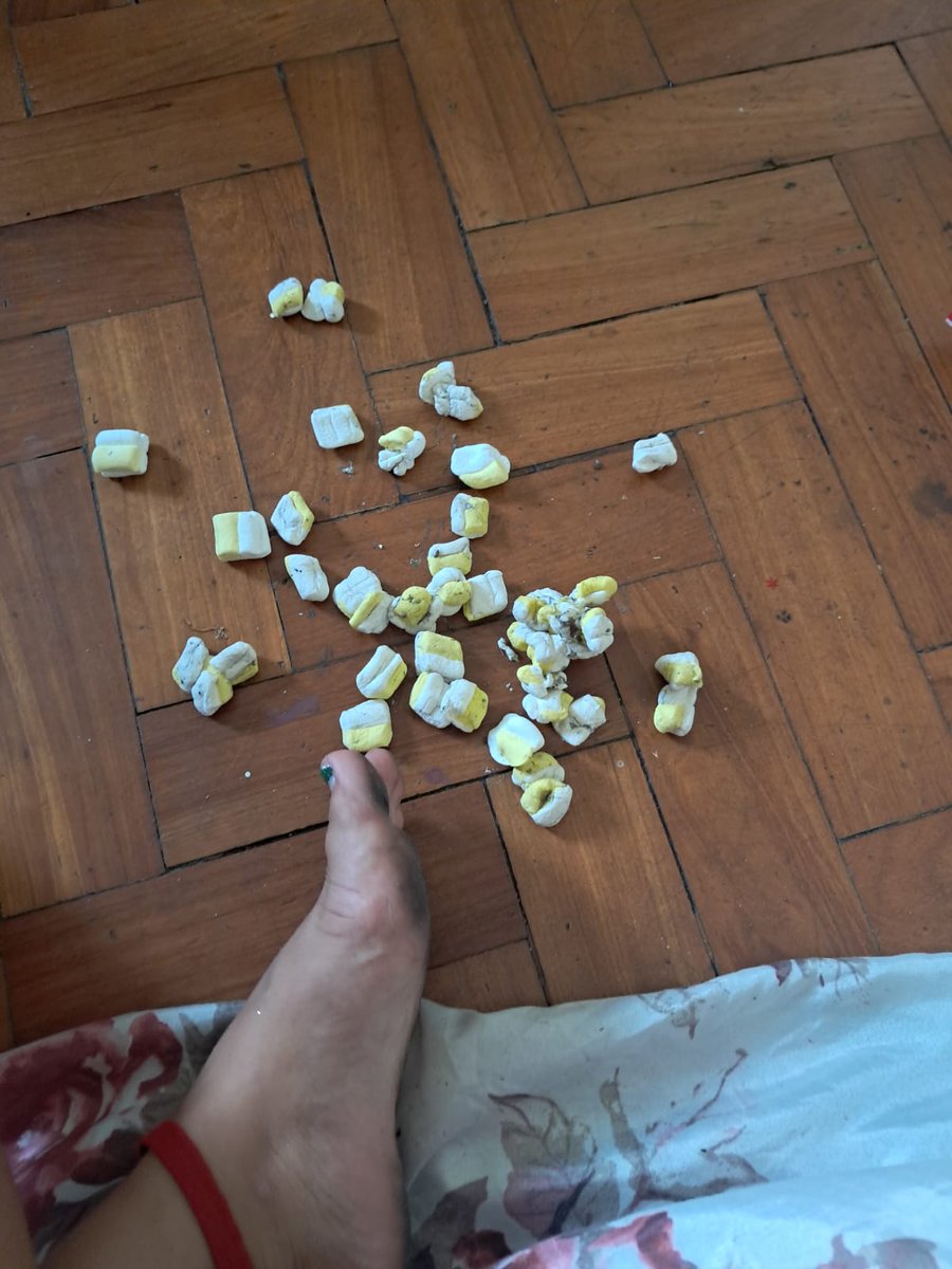 isinha viu a chappell! 🇵🇸 tweet media