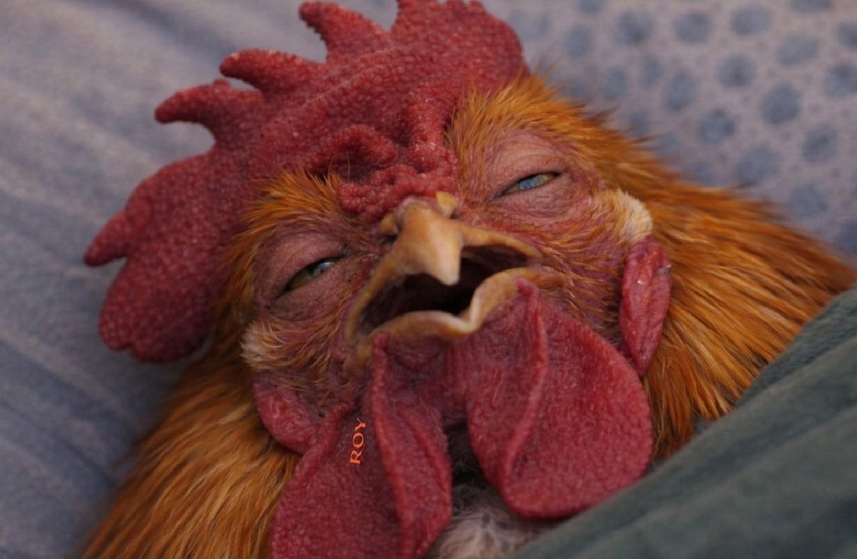 Mike Gburzynski tweet media