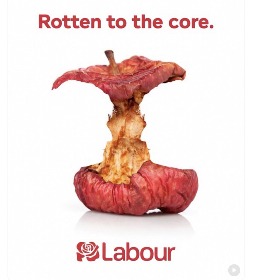 Roger van Egmond Ⓥ 𓃟 Pigoneer #GTTO tweet media