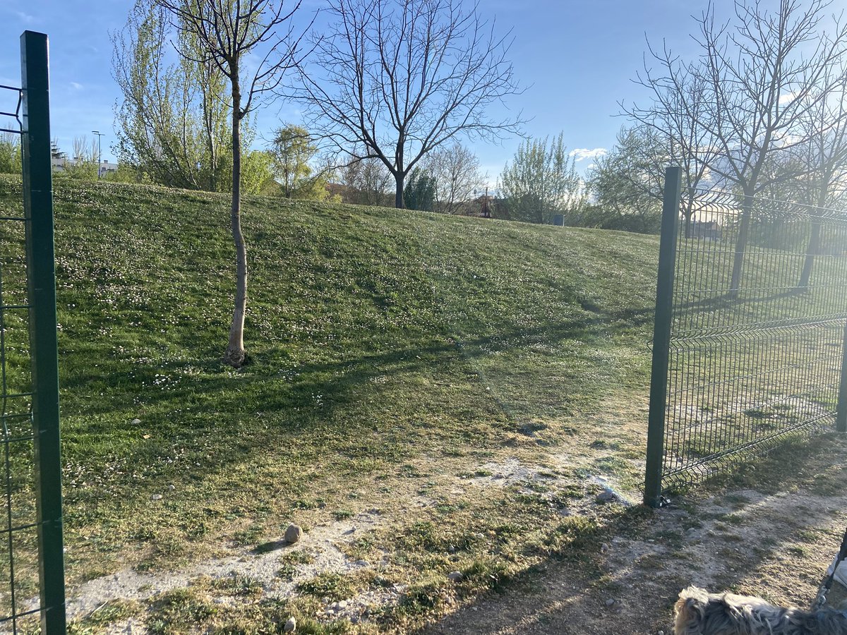 luisminin's tweet photo. Por segunda vez en menos de un año el parque canino de Santos-Pilarica sufre de vandalismo @AyuntamientoVLL @PoliciaVALL https://t.co/cyCakaW0J4