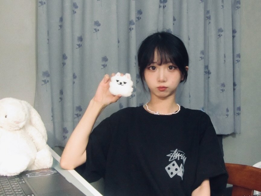 貓貓蟲~ tweet media