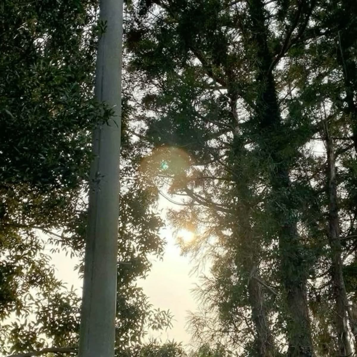 riri ୨ৎ tweet media