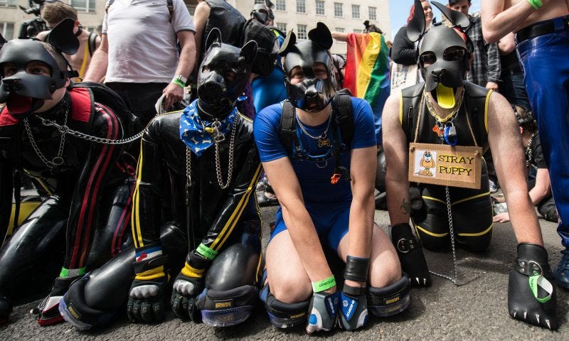 Cpt. Mucho Texto tweet media