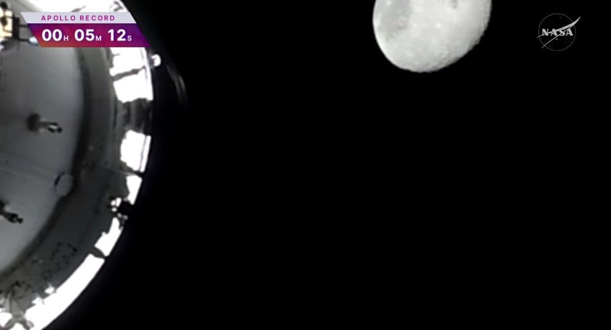 Joaconel. tweet media