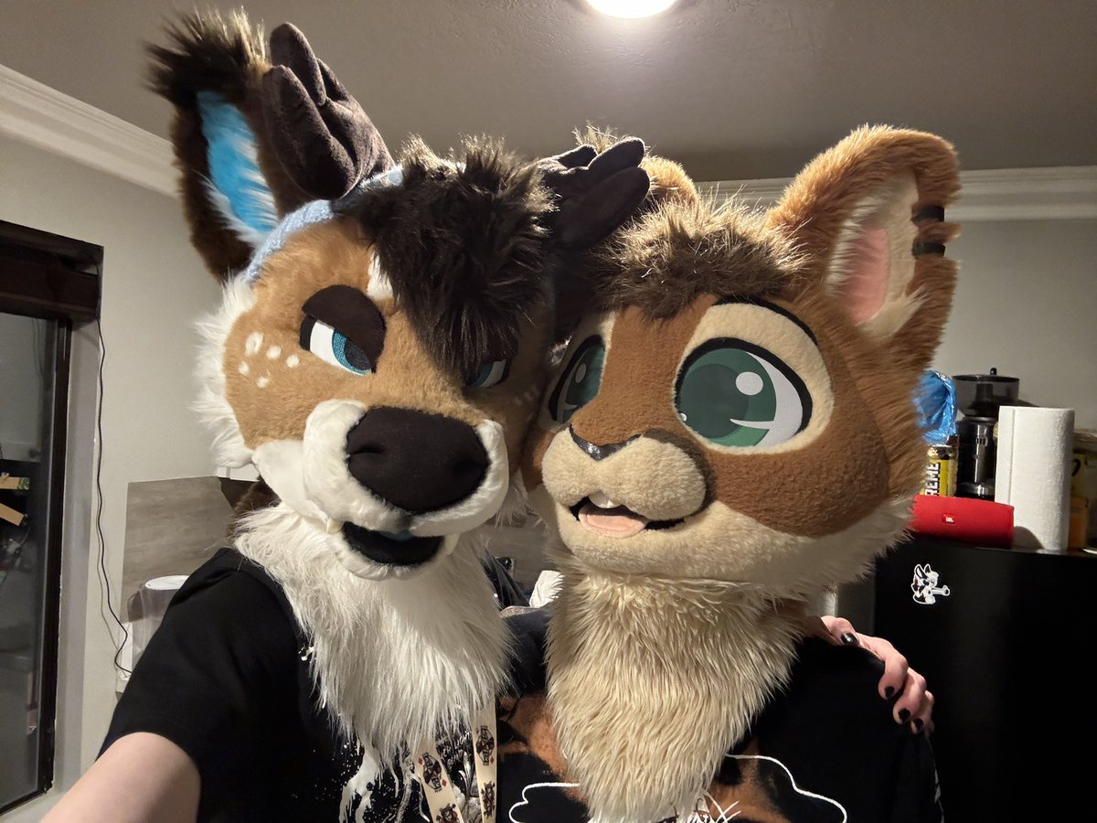 DeerBasedGod's tweet image. Cute bunnies at your local furry convention #LVFC 

🐇 : @FlipBunny