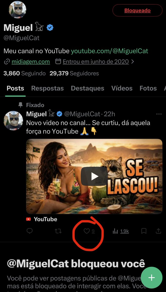 Carolina 🌙 tweet media