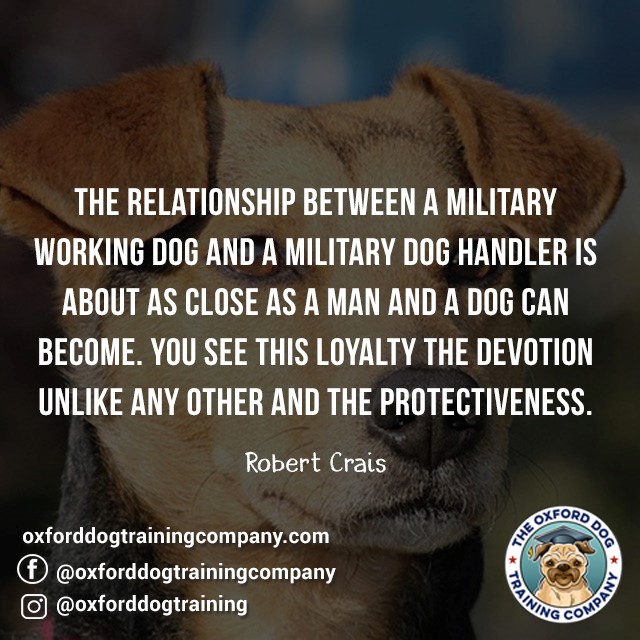 OxfordDogTrain's tweet image. #dog #dogtraining #dogtrainingoxford #dogsarebetterthanpeople #quote #dogquote #dogs #dogtrainer #oxford #quotes #oxforddogtraining #oxforddogtrainingcompany