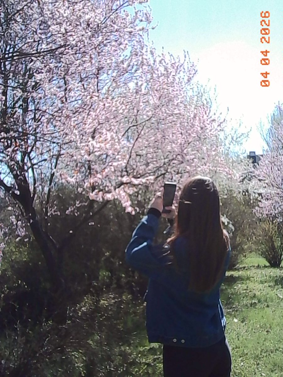 macskakert tweet media