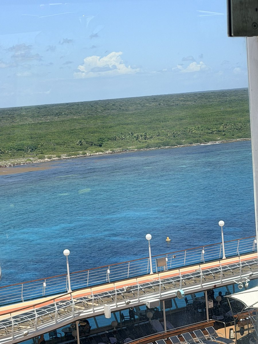 patagucci perf papi tweet media