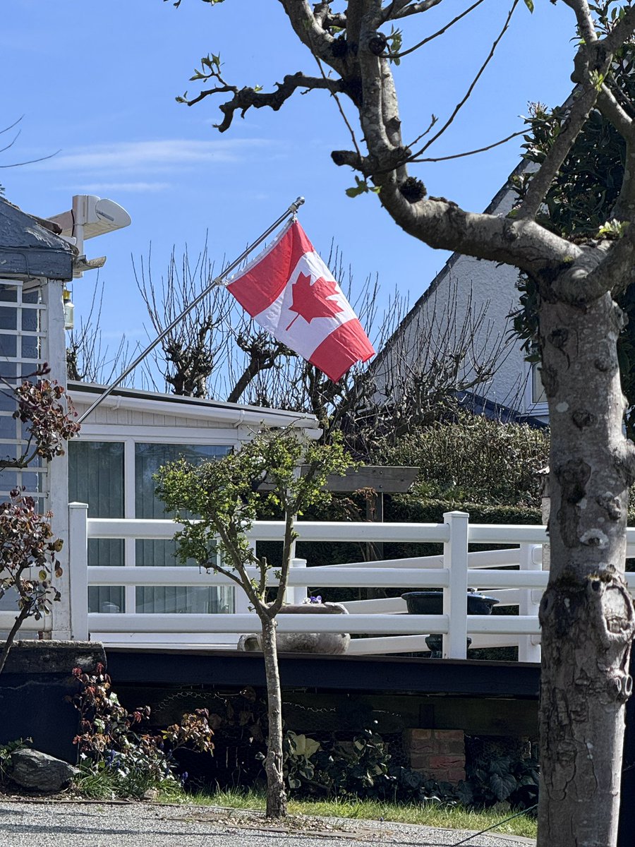 MyriadNorfolk tweet media