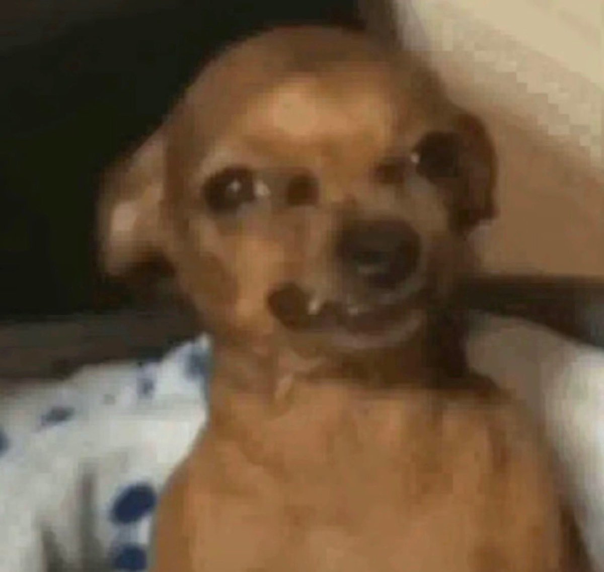 The Reserves Sports tweet media