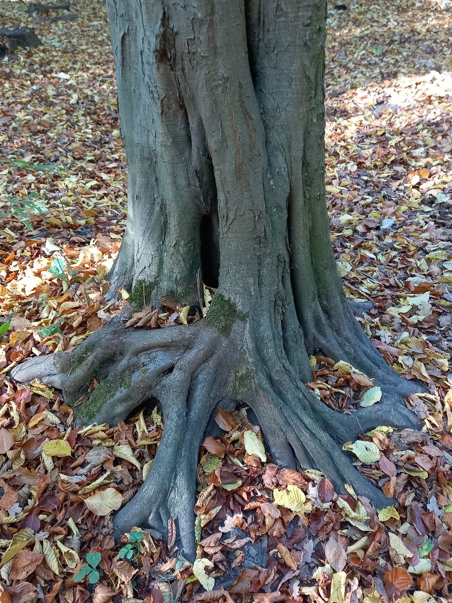 Erde&Sand tweet media