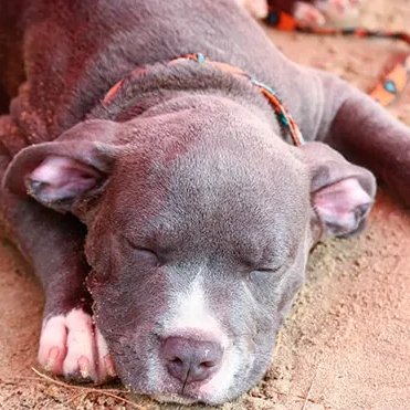 DELPY 📱🎬 tweet media