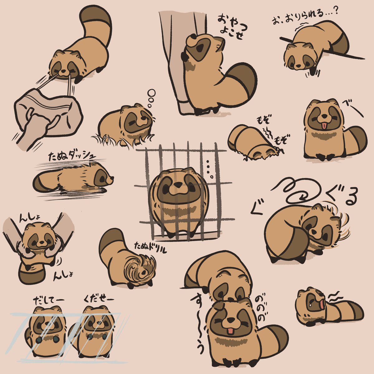 多(たた)@多狸堂 tweet media