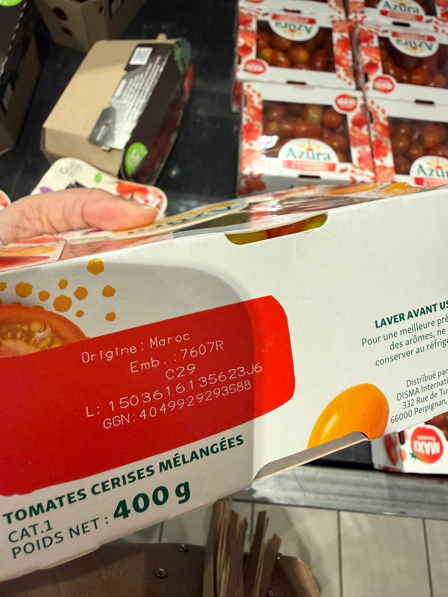 بوابة الجزائر - Algeria Gate tweet media