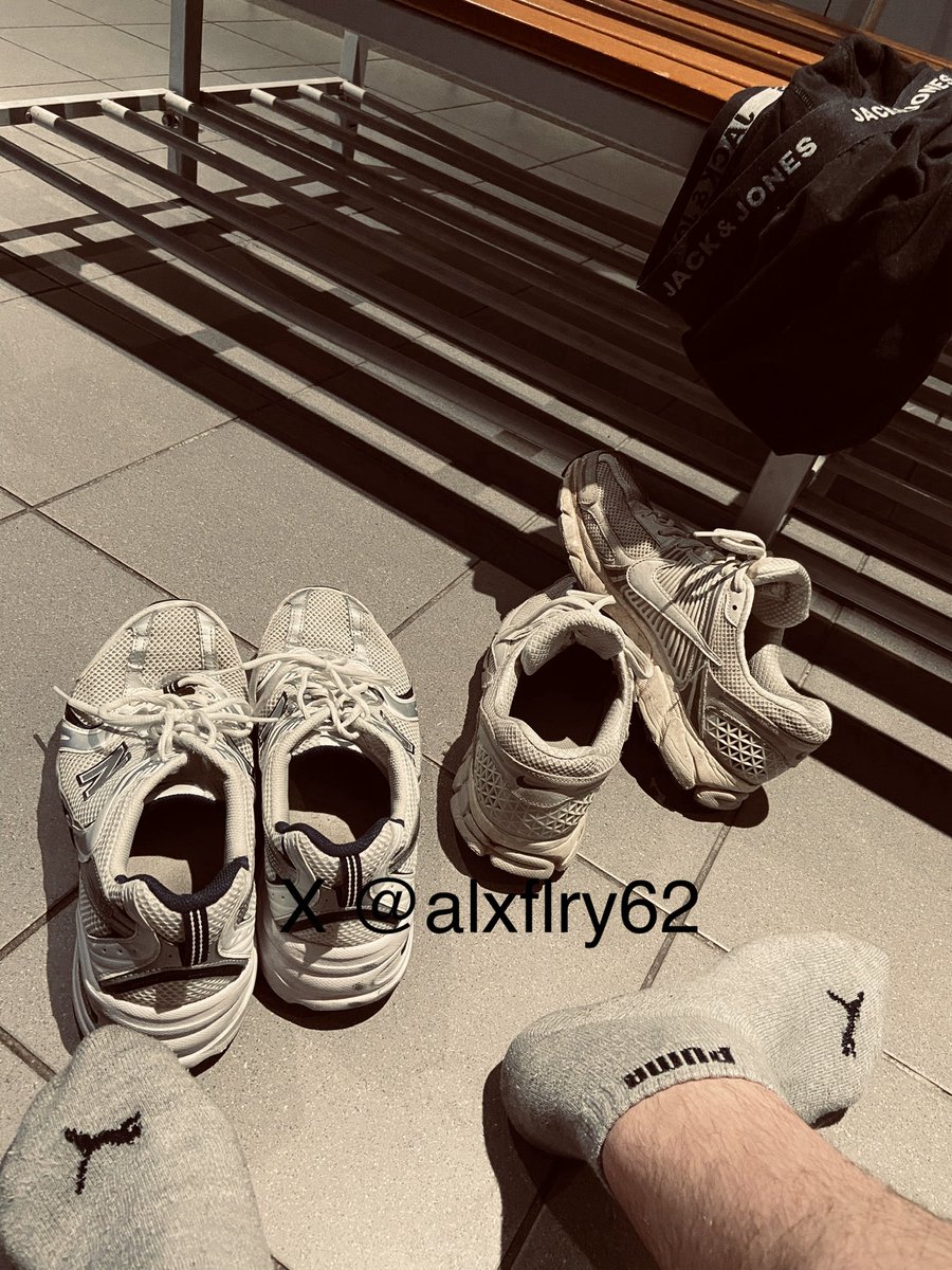 🐺 Alx 🐺 tweet media