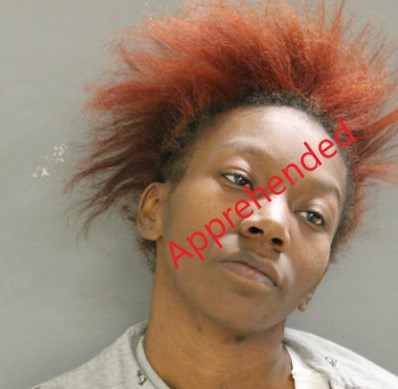 USMarshalsHQ's tweet image. The GLRFTF arrested Desiree Hollis on 4/2/26 in Chicago, IL. Hollis was wanted by CPD for PC Aggravated Battery w/knife. @Chicago_Police

#USMarshals #BeTheDifference