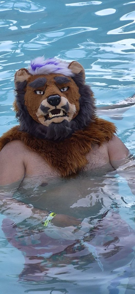 PupGrizzOrc's tweet image. Look its a bear swimming teddy swims love LVFC had so much memories can't wait to go again #LVFC #LVFC2026 #furry #gaybear #bear #chub #chubby