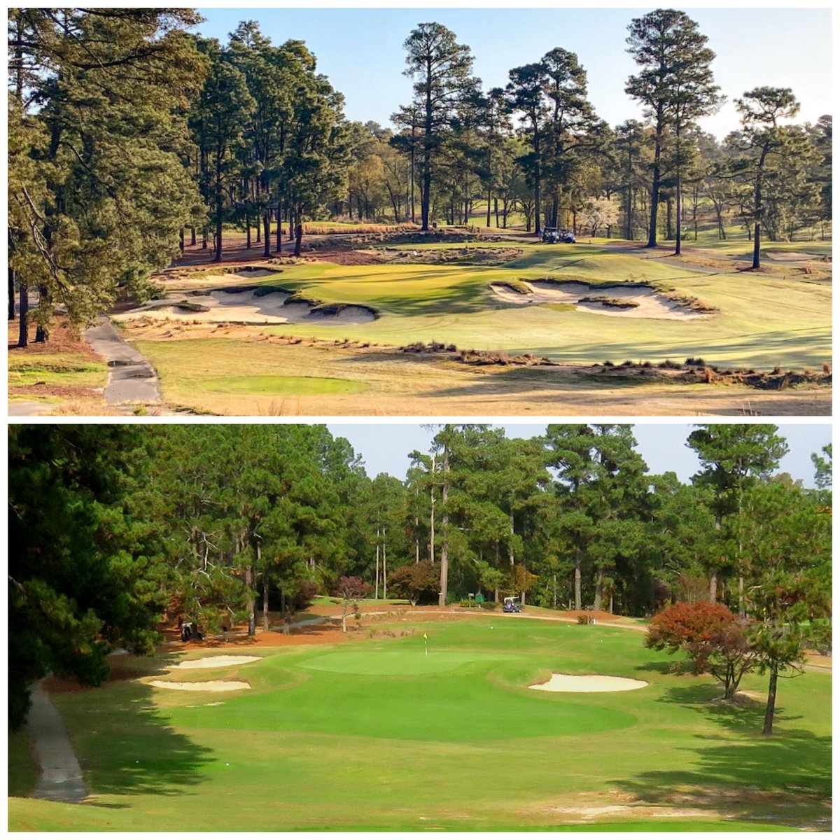 Jed Moller tweet media