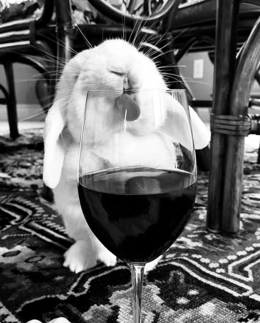 BlancoGoGo's tweet image. #wine 🍷 #EasterMonday 🐇