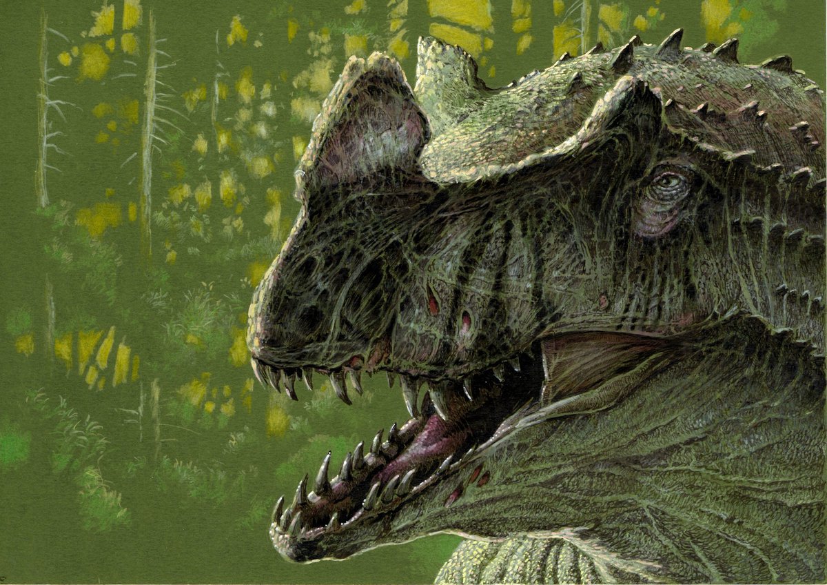 Steve White tweet media