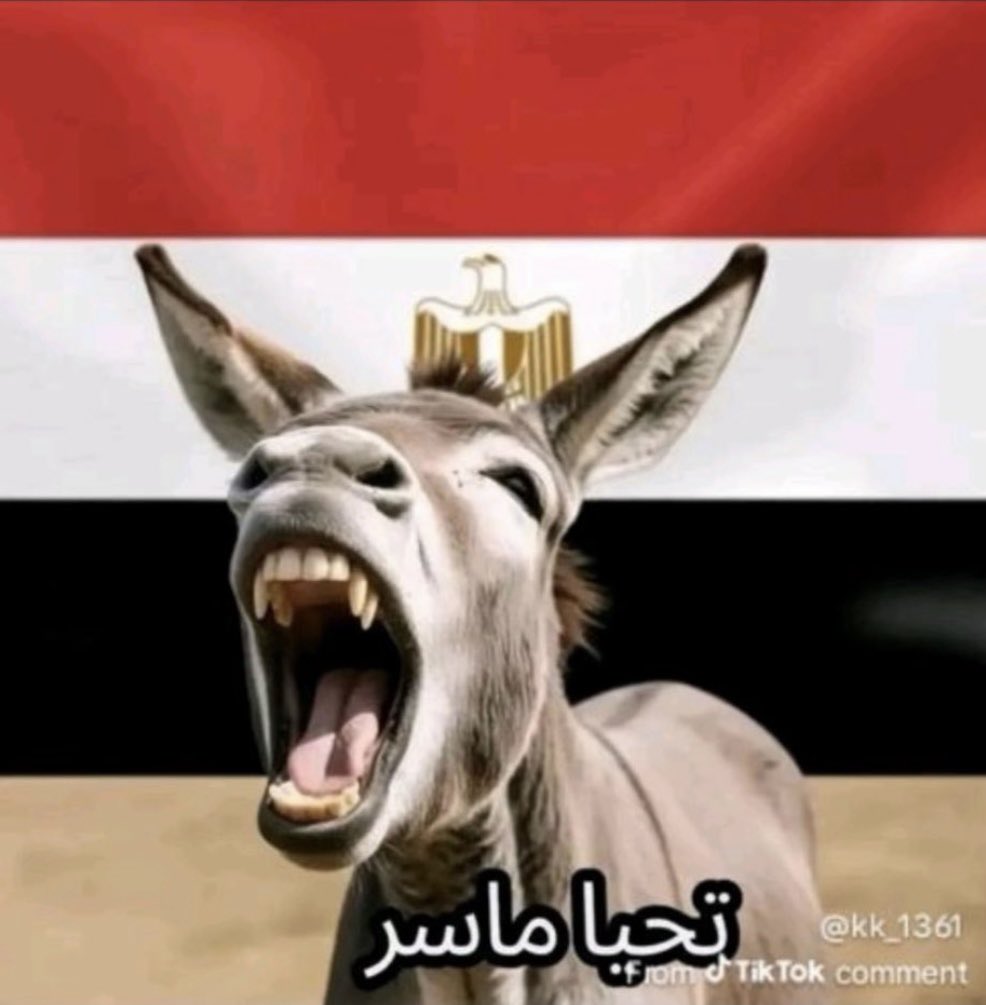 الجلاد عتريس tweet media