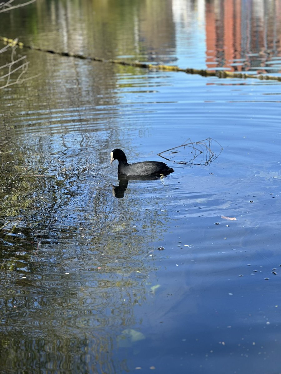 cykelbilly@mas.to tweet media