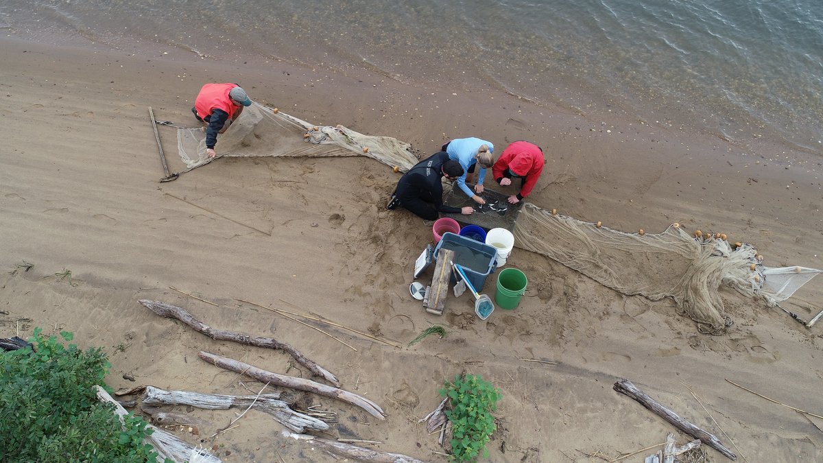 Maryland DNR tweet media