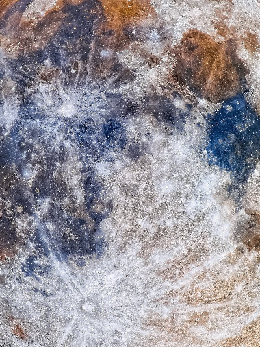 ⤷ ゛ʍᴏжнᴏ ᴨᴩᴏᴄᴛᴏ ϶ʙи⁰³`⁸¹`⁴³ˎˊ˗ tweet media