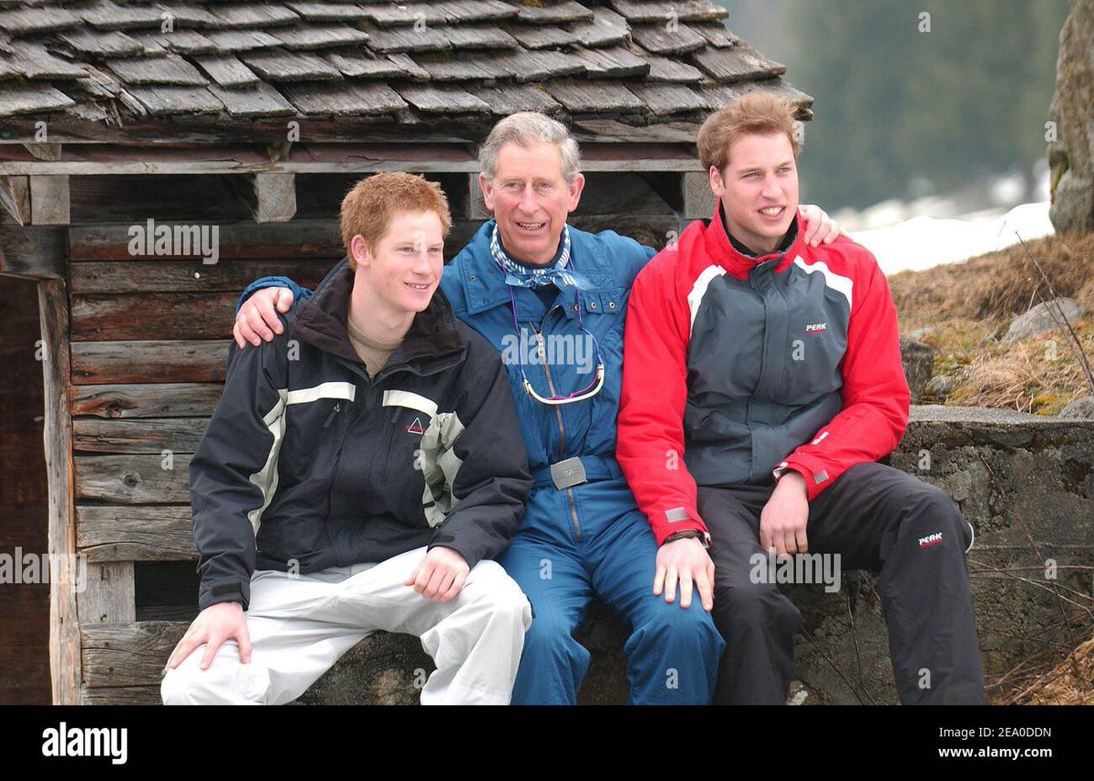 Irene Taylor tweet media