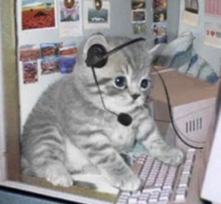 emilio⊙⊝⊜ tweet media