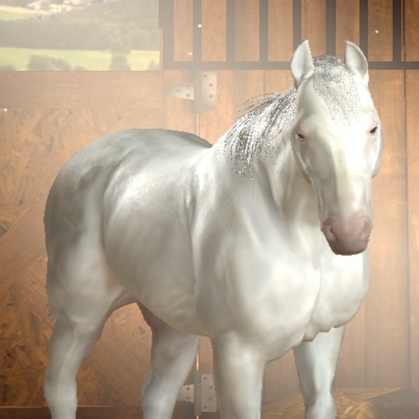 Chilli_Fills tweet media