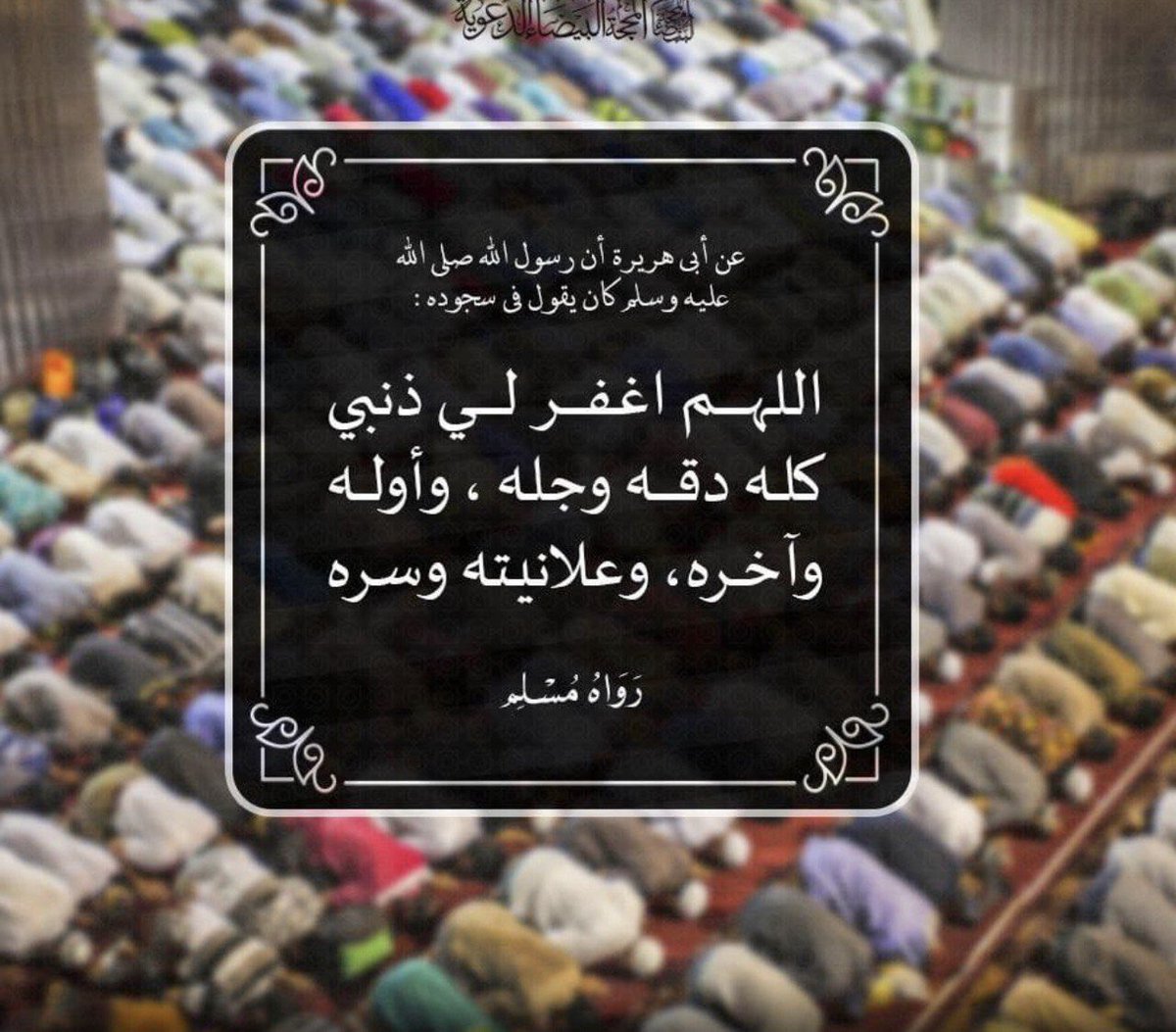 الدلما tweet media