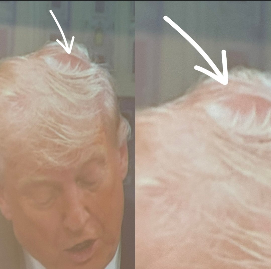 Transient tweet media