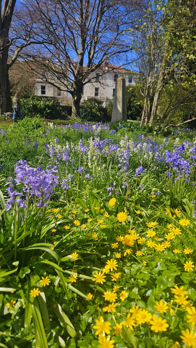 Bookaholic Bex tweet media