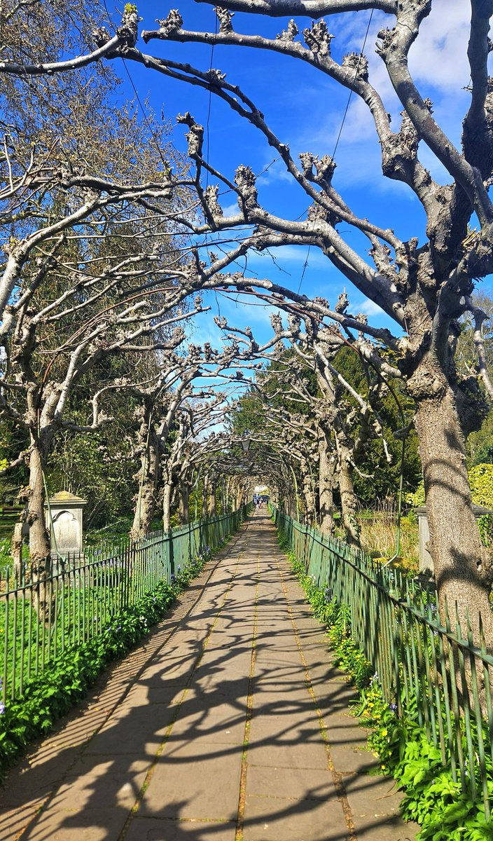 Bookaholic Bex tweet media