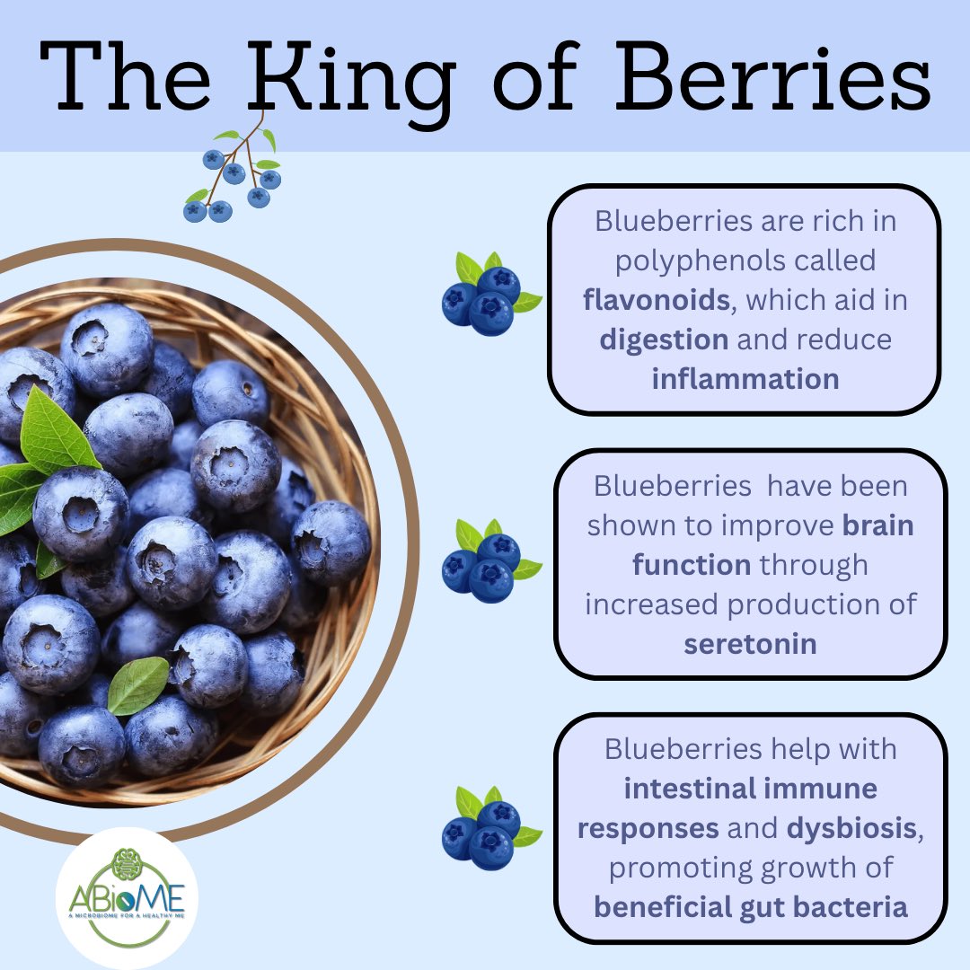A_BioME's tweet photo. Blueberries may be small, but they are considered one of the most nutritionally dense berries. 🫐 Packed with vitamins, polyphenols, and fiber, these superfoods help fuel your gut, improve brain function, and fight inflammation. https://t.co/L8cDaWpW2T