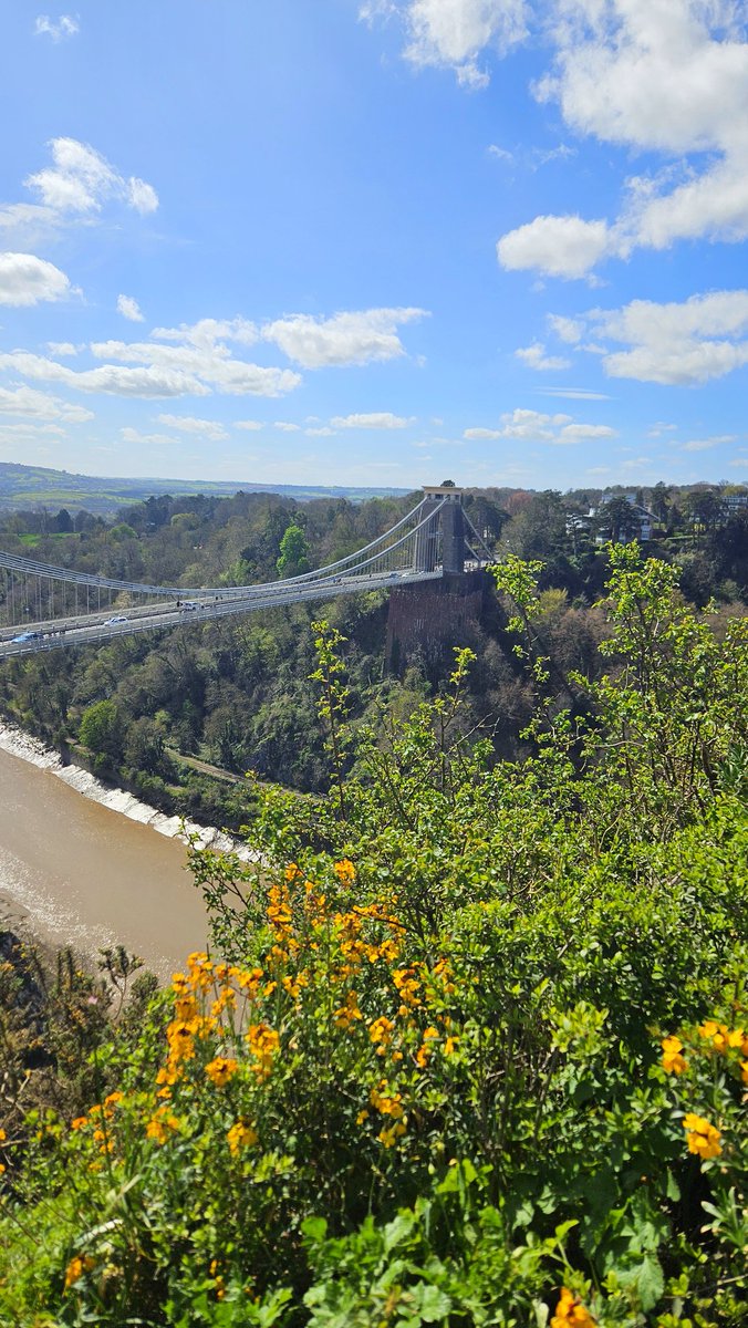 Bookaholic Bex tweet media