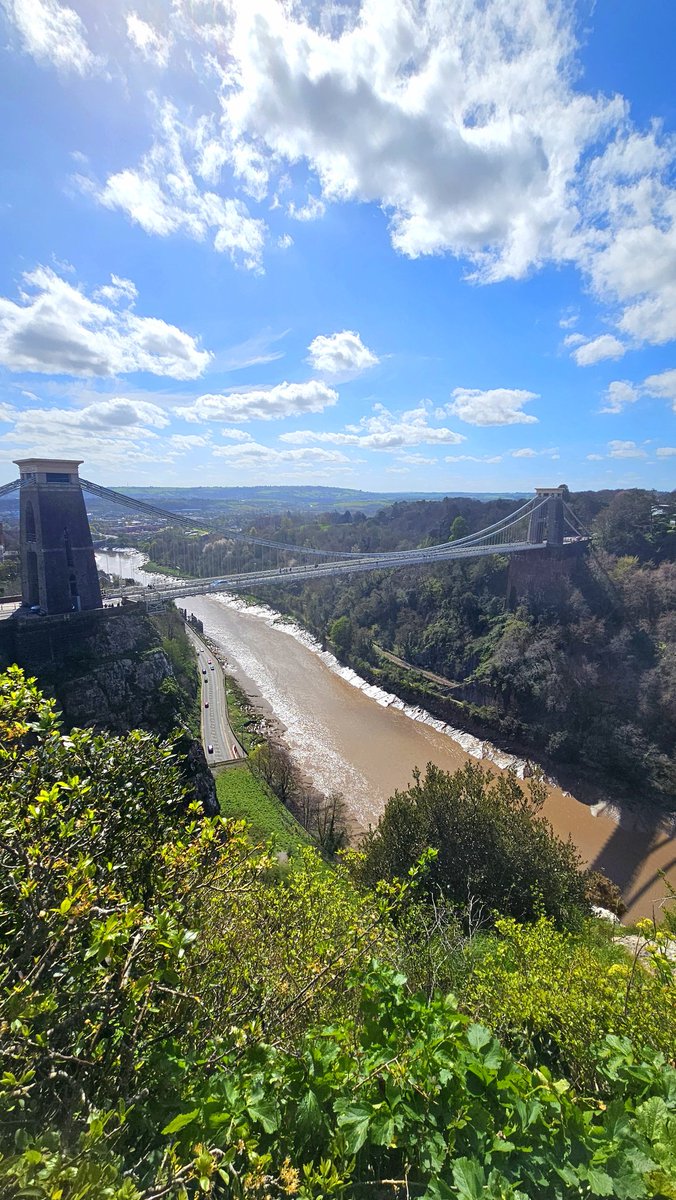 Bookaholic Bex tweet media