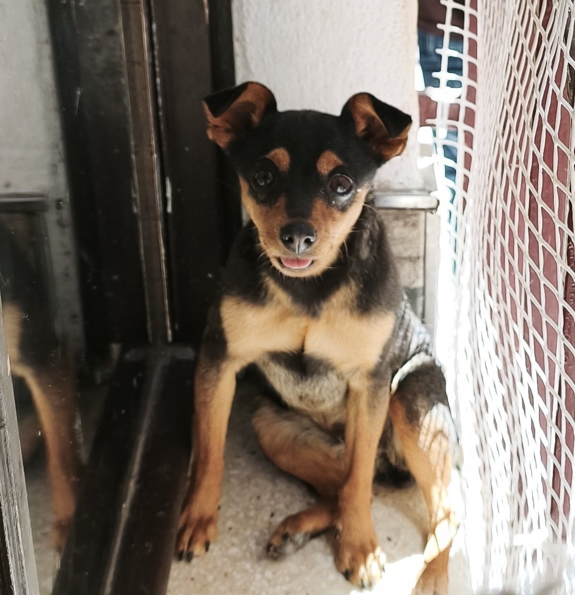 Lara ✨ tweet media