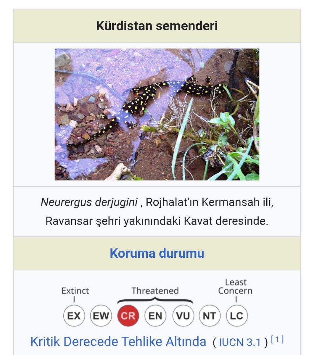 Dr. Rovî✹ / Yeni tweet media