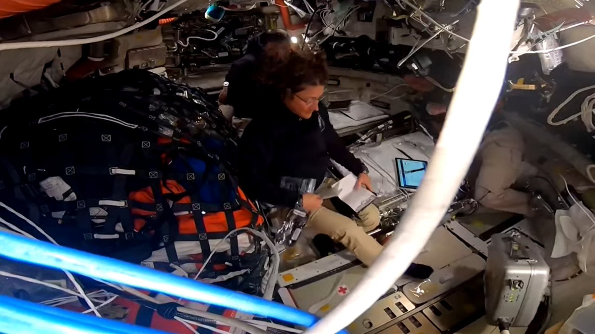 Labroots Space & Astronomy tweet media