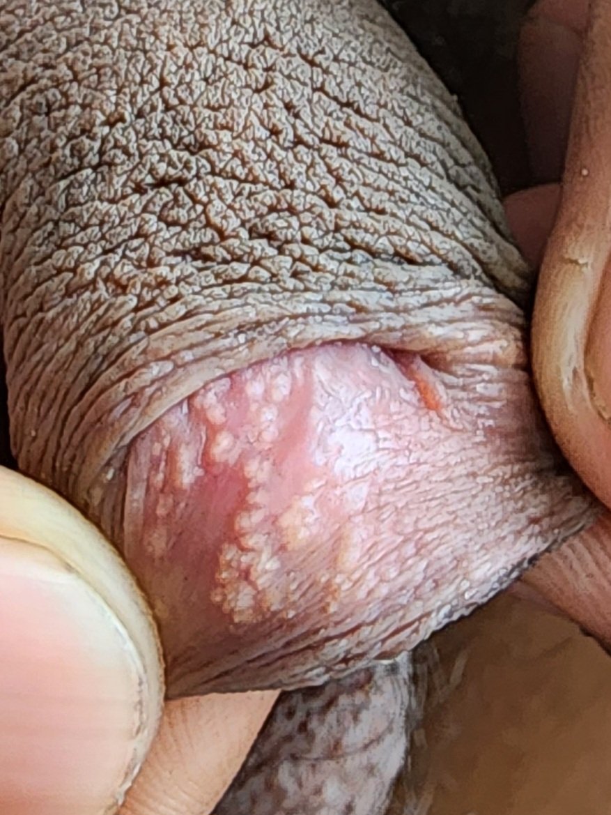 The shepherd🧑‍⚕️❤️‍🩹 tweet media