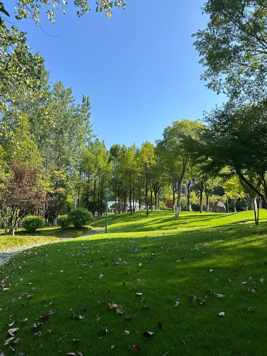 ほししお tweet media